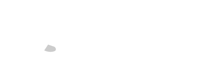 Skyller Solutions Co., Ltd. Logo